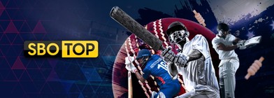 IPL History